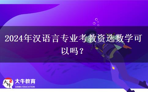 2024年汉语言专业考教资选数学可以吗？