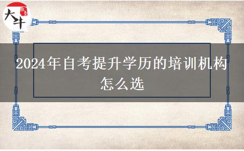 2024年自考提升学历的培训机构 怎么选