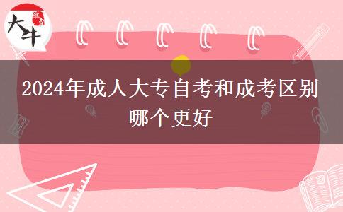 2024年成人大专自考和成考区别 哪个更好