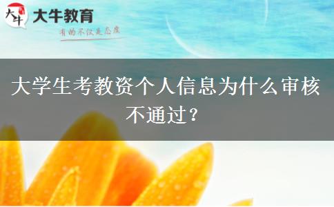 大学生考教资个人信息为什么审核不通过？