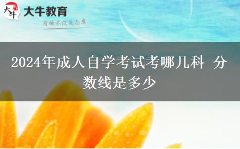 2024年成人自学考试考哪几科 分数线是多少