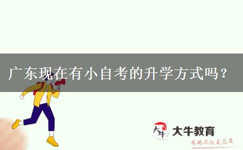 广东现在有小自考的升学方式吗？