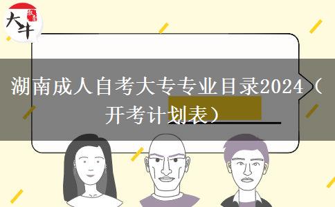 湖南成人自考大专专业目录2024（开考计划表）