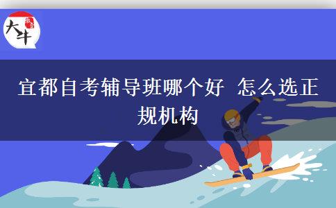 宜都自考辅导班哪个好 怎么选正规机构