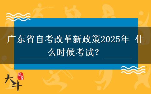广东省自考改革新政策2025年 什么时候考试？