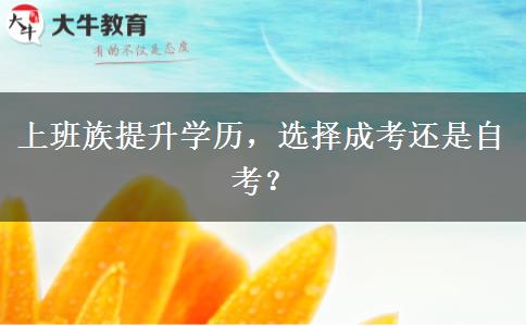 上班族提升学历，选择成考还是自考？