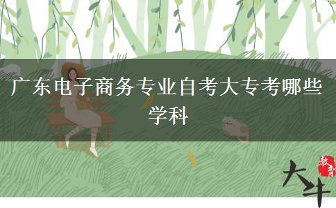 广东电子商务专业自考大专考哪些学科