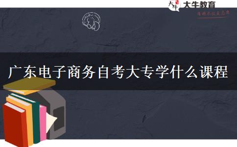 广东电子商务自考大专学什么课程