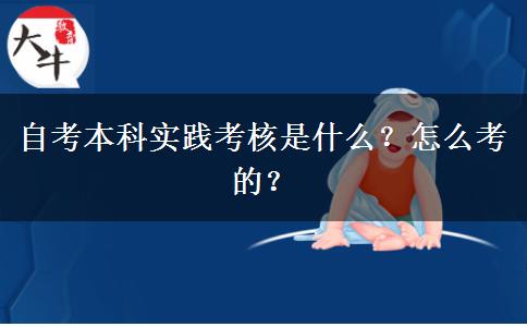 自考本科实践考核是什么？怎么考的？