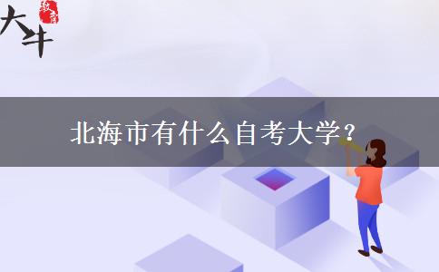 北海市有什么自考大学？