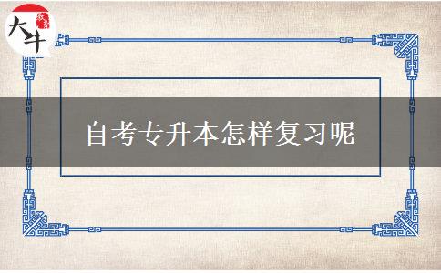 自考专升本怎样复习呢