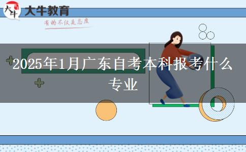 2025年1月广东自考本科报考什么专业