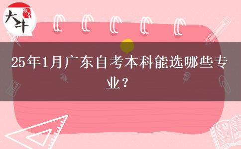 25年1月广东自考本科能选哪些专业？