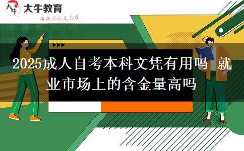 2025成人自考本科文凭有用吗 就业市场上的含金量高吗