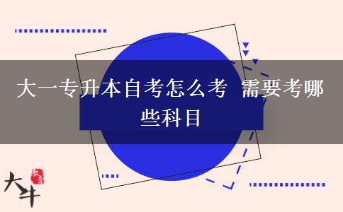 大一专升本自考怎么考 需要考哪些科目