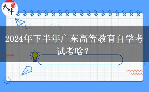 2024年下半年广东高等教育自学考试考啥？