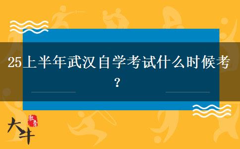 25上半年武汉自学考试什么时候考？