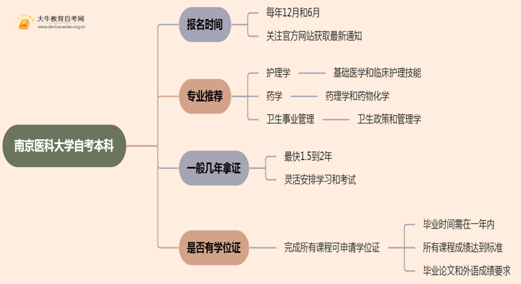 南京医科大学自考本科报名时间及流程（2025版）思维导图