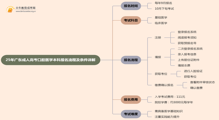 25年广东成人高考口腔医学（本科）报名流程及条件详解！思维导图