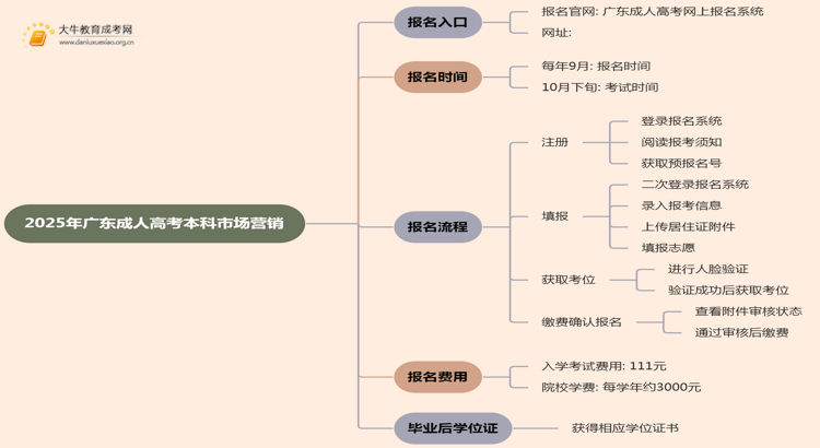 25年广东成人高考本科市场营销专业怎么报名 几月考试思维导图
