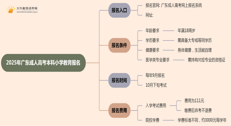 25年广东成人高考本科小学教育专业怎么报名 几月考试思维导图