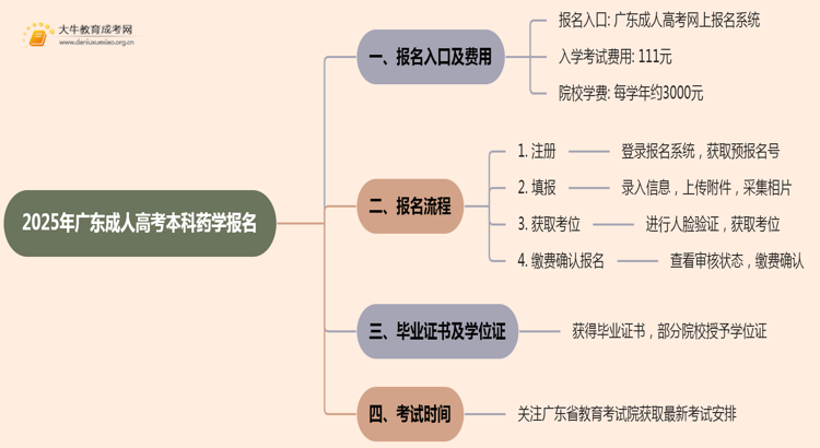 25年广东成人高考本科药学专业怎么报名 几月考试思维导图