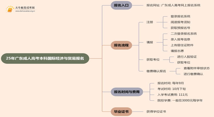 25年广东成人高考本科国际经济与贸易专业怎么报名 几月考试思维导图