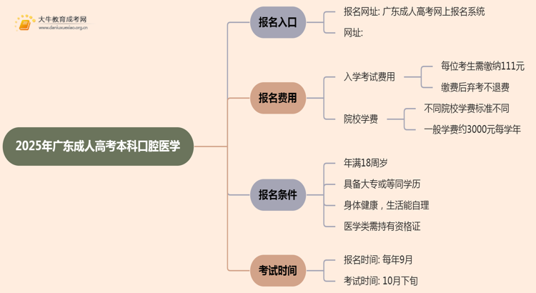 25年广东成人高考本科口腔医学专业怎么报名 几月考试思维导图