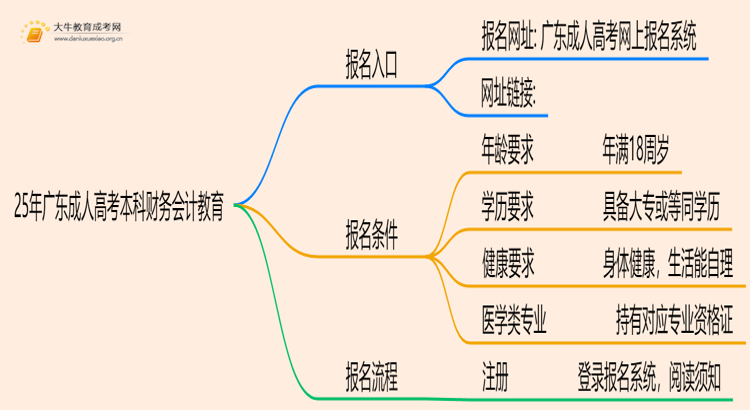 25年广东成人高考本科财务会计教育专业怎么报名 几月考试思维导图