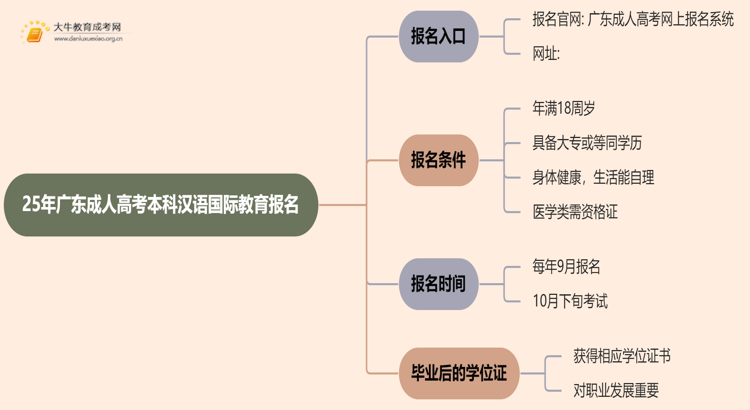 25年广东成人高考本科汉语国际教育专业怎么报名 几月考试思维导图