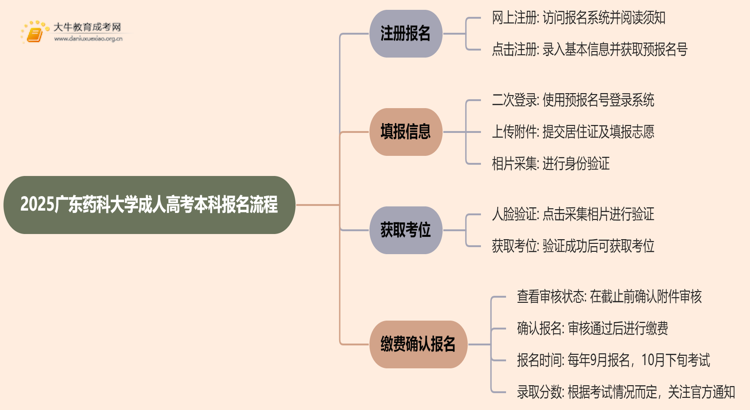 2025广东药科大学成人高考本科怎么报名（+流程）思维导图