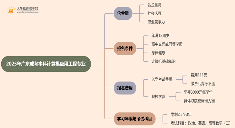 2025年广东成考本科计算机应用工程专业含金量高吗？思维导图