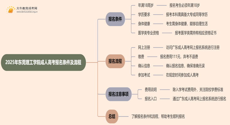 2025年东莞理工学院成人高考报名条件（+流程）思维导图