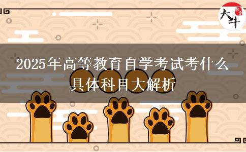 2025年高等教育自学考试考什么 具体科目大解析