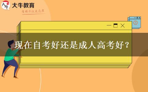 现在自考好还是成人高考好？