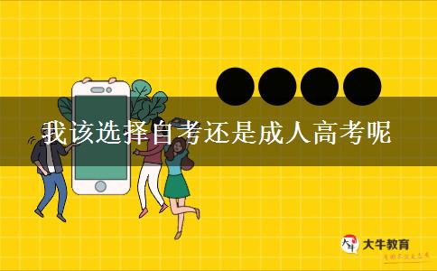 我该选择自考还是成人高考呢