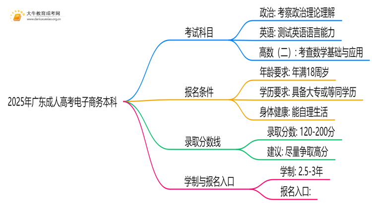 2025年广东成人高考电子商务本科考试科目 仅3门？思维导图
