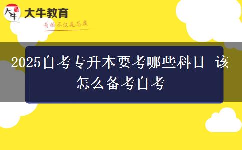 2025自考专升本要考哪些科目 该怎么备考自考