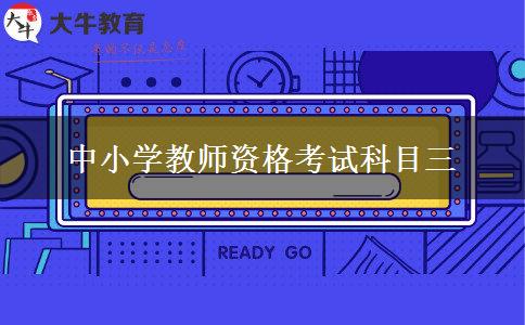 中小学教师资格考试科目三
