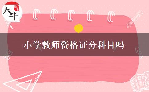 小学教师资格证分科目吗