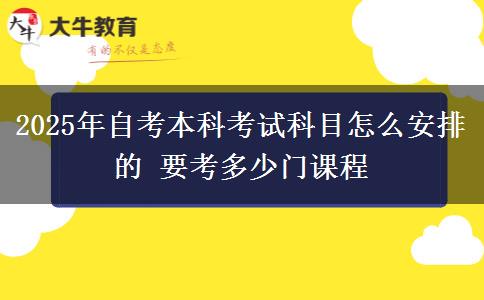 2025年自考本科考试科目怎么安排的 要考多少门课程