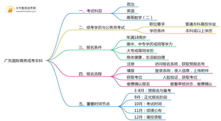 广东今年国际商务成考本科考几门？怎样报名？思维导图