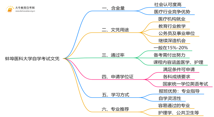 现在蚌埠医科大学自学考试文凭能干嘛？含金量怎样思维导图