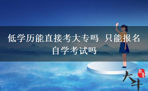 低学历能直接考大专吗 只能报名自学考试吗