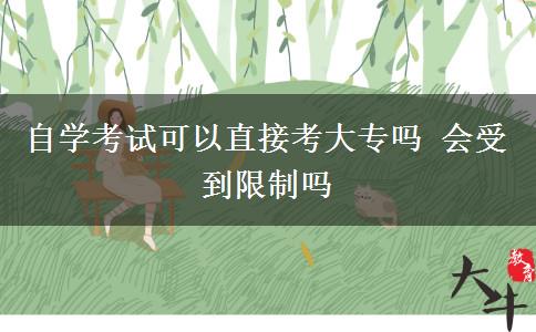 自学考试可以直接考大专吗 会受到限制吗