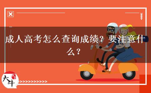 成人高考怎么查询成绩？要注意什么？