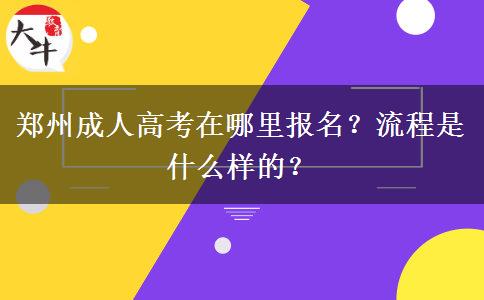 郑州成人高考在哪里报名？流程是什么样的？