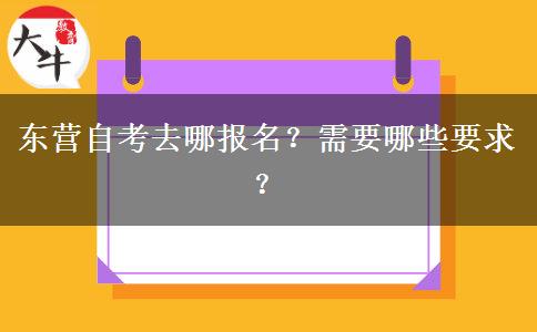 东营自考去哪报名？需要哪些要求？