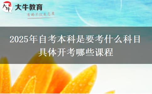 2025年自考本科是要考什么科目 具体开考哪些课程