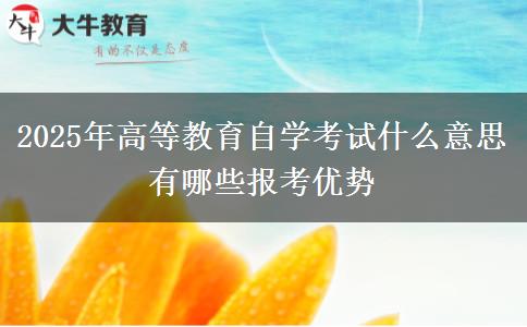 2025年高等教育自学考试什么意思 有哪些报考优势